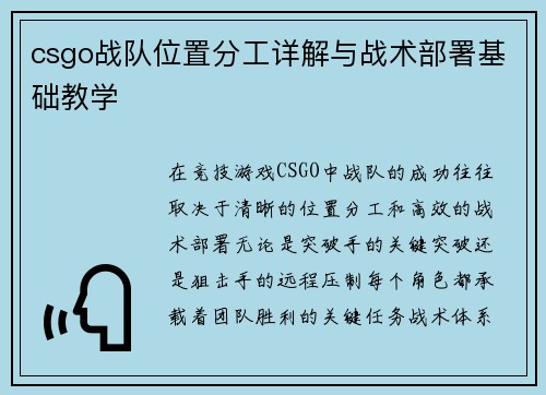 csgo战队位置分工详解与战术部署基础教学